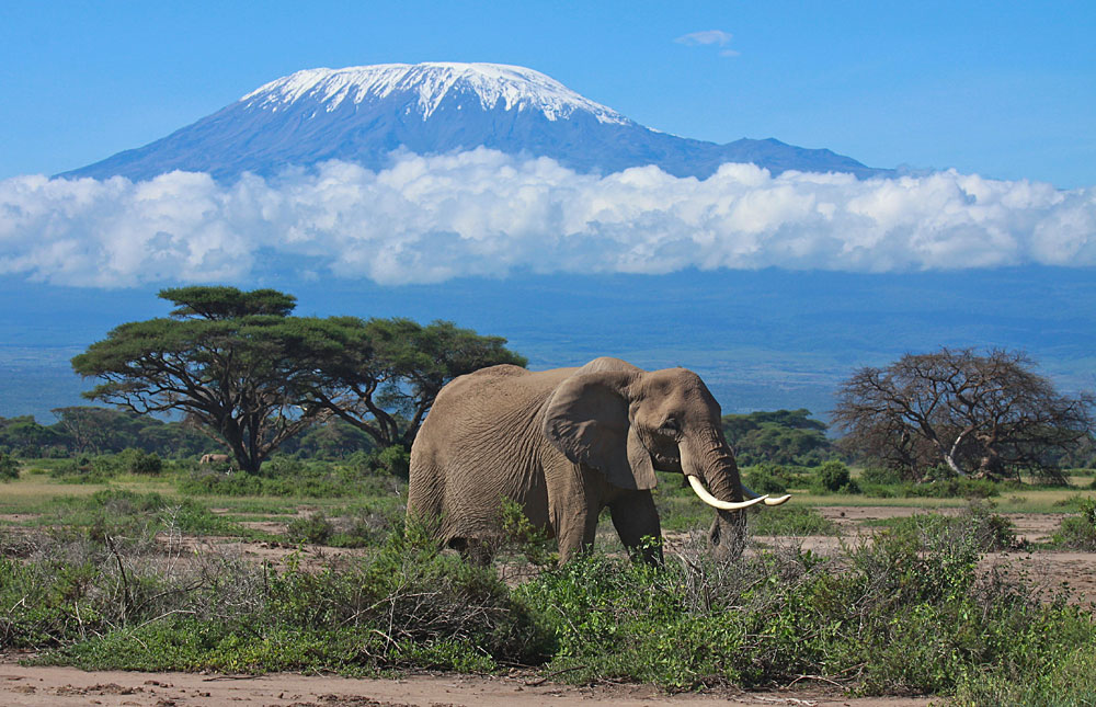 Amnoseli National Park